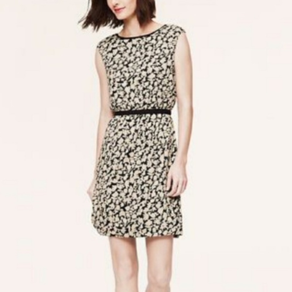 LOFT Floral Grosgrain Waist Dress Sleeveless Black Tan - Sz Medium